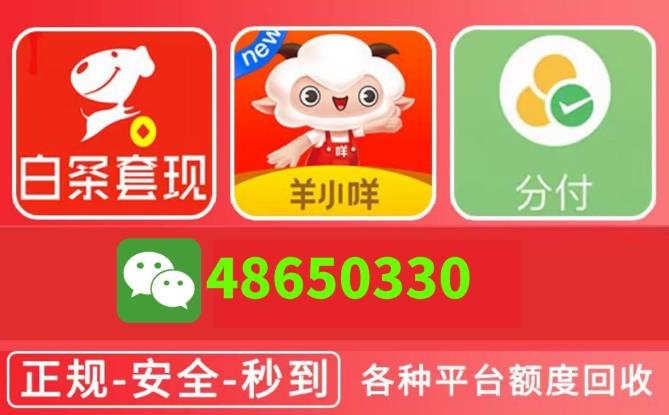 京东白条，作为京东平台内一种便捷的信用支付方式，为广大用户提供了先消费后付款的便利